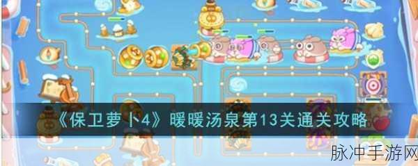 保卫萝卜4暖暖汤泉第10关通关秘籍，策略与技巧详解