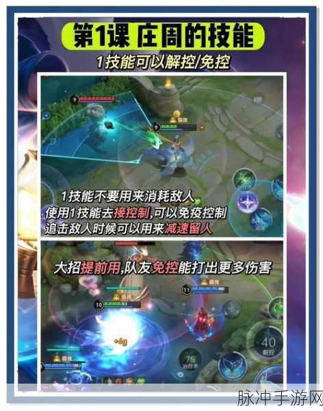 王者荣耀深度解析，庄周被动技能全攻略