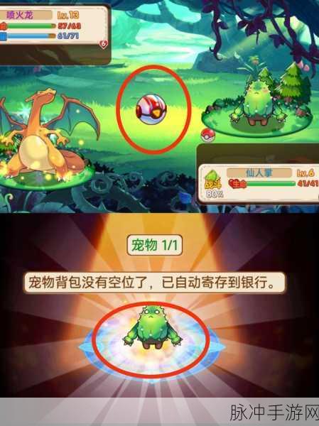 口袋妖怪，踏上探索与冒险的单机游戏奇幻之旅