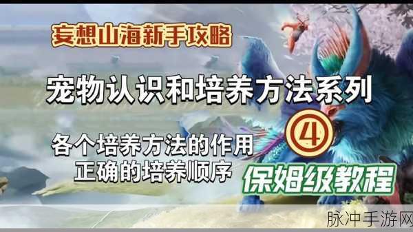 妄想山海金之纹使用方法深度解析,精通技巧,成就巅峰战力
