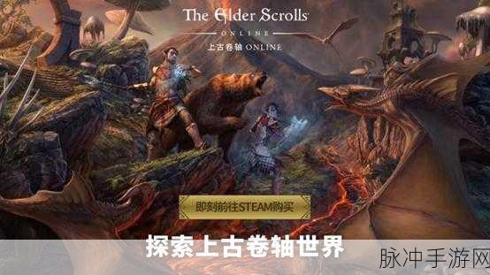 上古卷轴5手游玩家必看,中文设置全攻略及Steam繁体中文问题解析