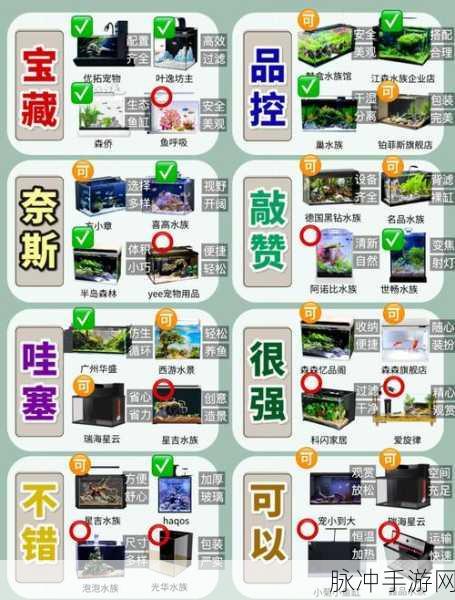 元气骑士鱼缸使用方法全攻略,解锁游戏乐趣的必备秘籍