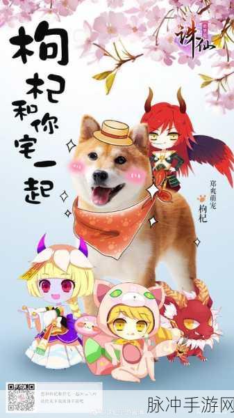 诛仙手游萌宠枸杞任务全攻略，如何智慧选择枸杞