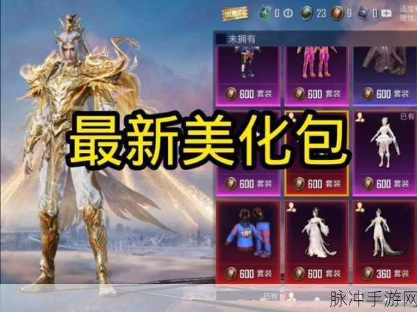 和平精英美化包使用全攻略，打造个性化战场体验