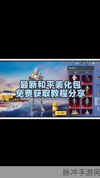 和平精英美化包使用全攻略，打造个性化战场体验