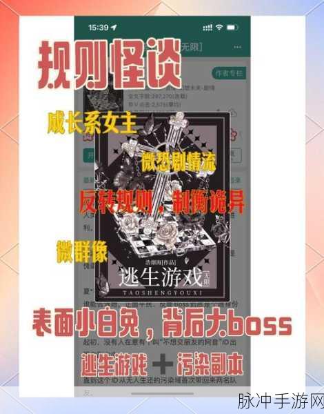 文字脑洞规则怪谈4，解锁挑战与趣味解谜的奇妙之旅