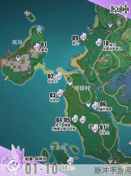 原神手游攻略,揭秘雷神瞳共鸣石的获取之道