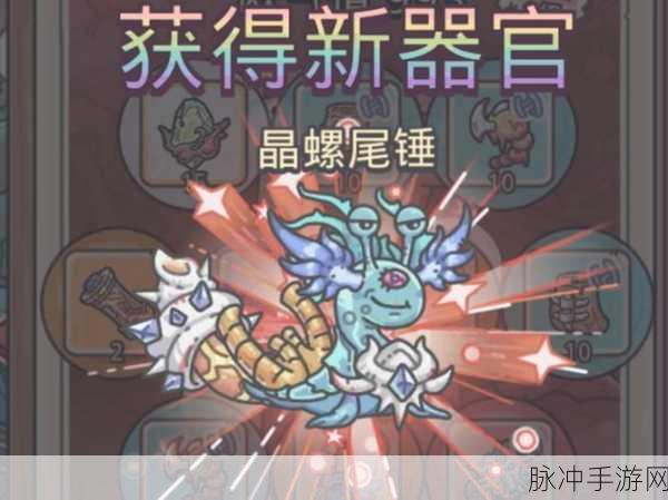 最强蜗牛进化攻略,最优进化顺序全解析