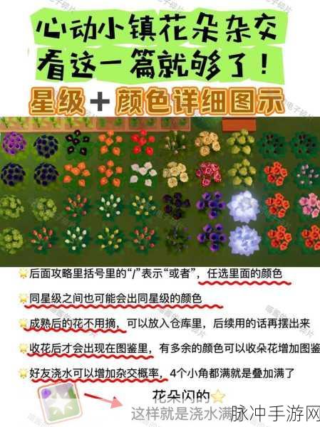 心动小镇花卉杂交方法全解析，轻松掌握花卉杂交技巧与步骤指南