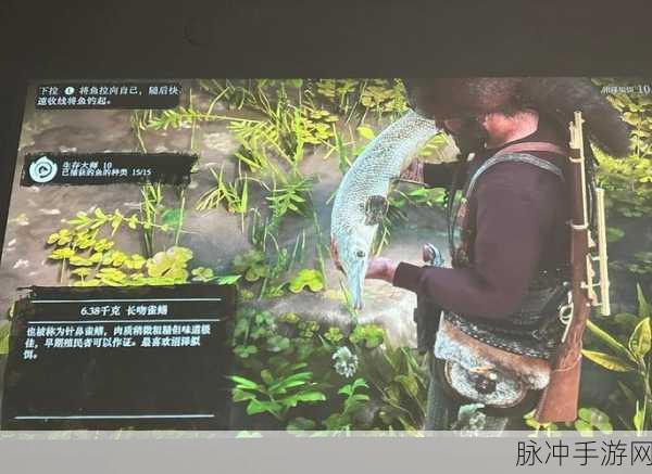 CF手游生存模式深度攻略，策略与技巧助你成为生存大师