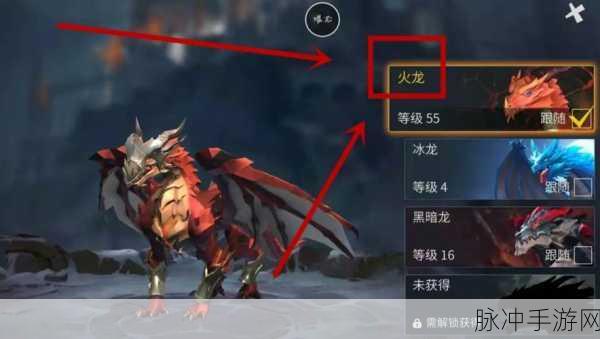 冰原守卫者深度攻略,冰龙与火龙的选择之争