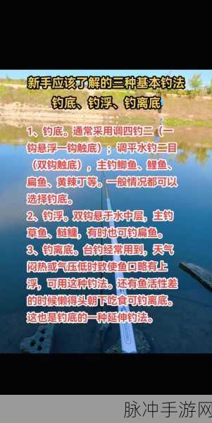烟雨江湖垂钓秘籍，解锁钓鱼乐趣与收获之道