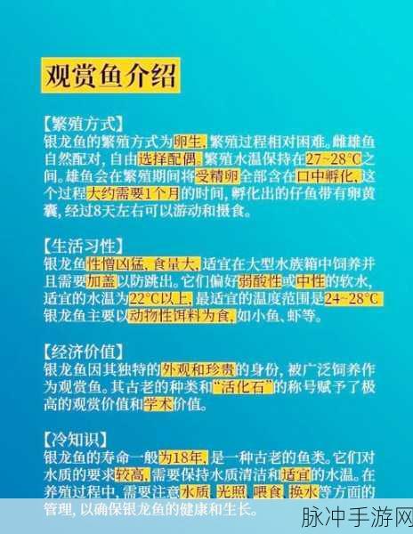 摩尔庄园手游银龙鱼获取全攻略,解锁稀有鱼类的秘密