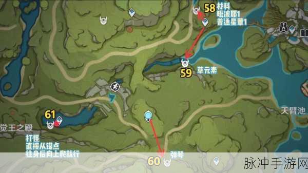 原神星蕈采集攻略,高效寻找星蕈的最佳地点与路线分布图全解析
