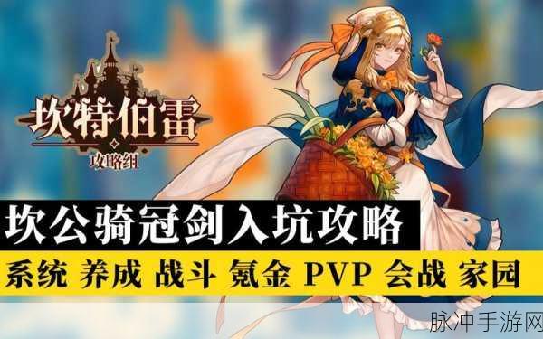 坎公骑冠剑深度攻略，体力大揭秘与刷取价值解析