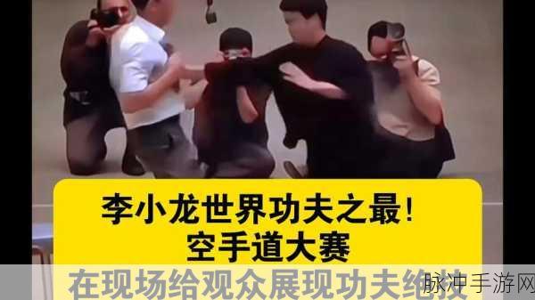 最强功夫空手道，格斗之巅，等你来战！