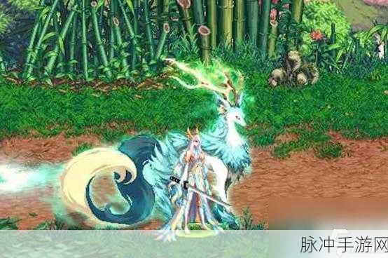DNF手游攻略,神器克隆与龙袍的详细对比