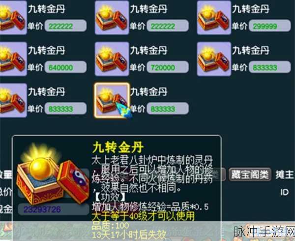 梦幻西游深度攻略,黄金ID特权与金银锁详解