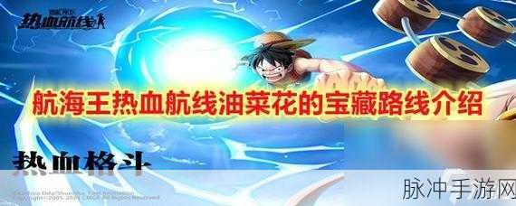 航海王热血航线油菜花探索全攻略，100%解锁秘籍大放送！