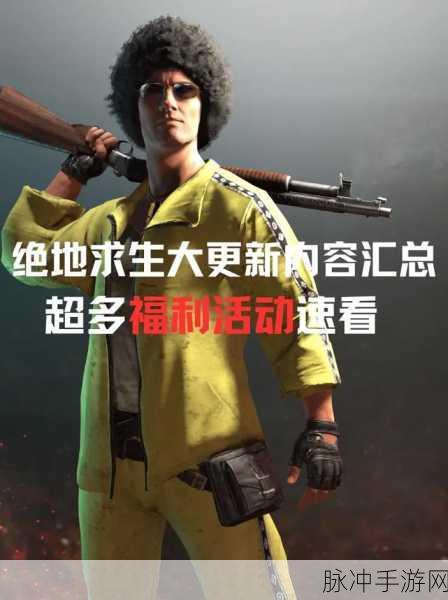 绝地求生手游武器皮肤更换全攻略，打造你的专属战斗风采