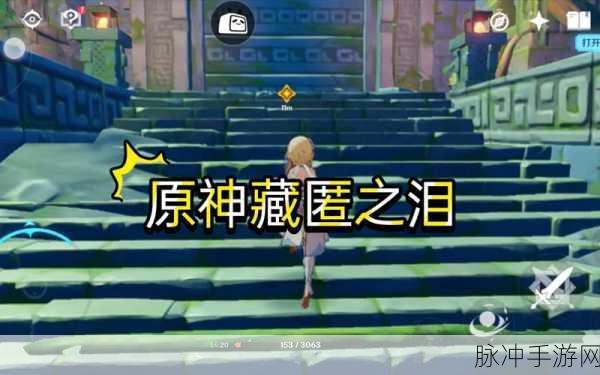 原神藏匿之泪副本攻略详解,通关技巧与战斗策略