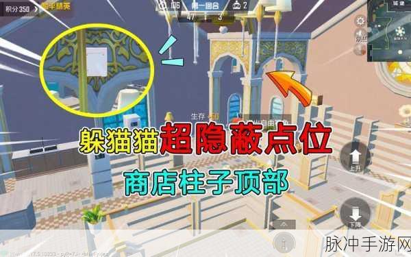 和平精英躲猫猫秘籍，解锁高手进阶之路的全面攻略