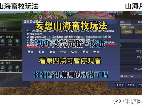 妄想山海，高效养殖鱼苗的多样获取方法与技巧详解