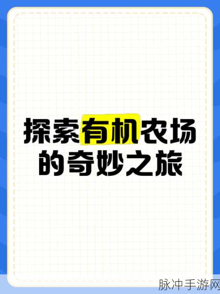 脑洞大开，手绘风情，探索脑洞旅行手游预约下载的奇妙之旅
