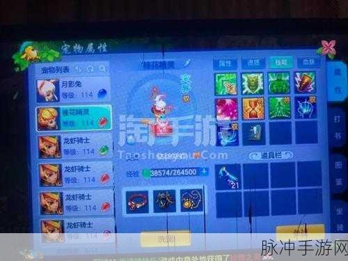 神武盟主争霸，揭秘盘丝洞辅助封系战术精髓，登顶之路全解析