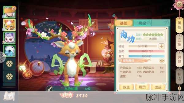 神雕侠侣2手游白驼门派宠物搭配全攻略