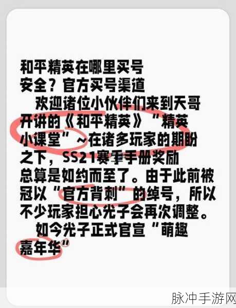 和平精英手游账号买卖攻略，探寻性价比之选