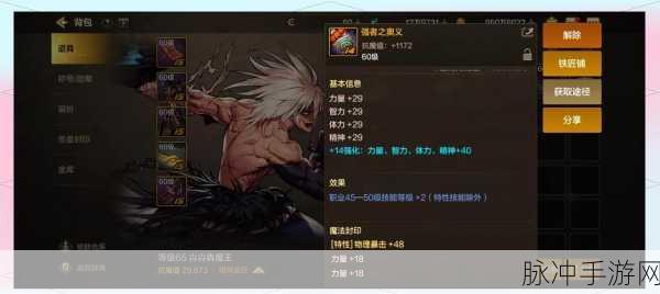 DNF90男柔道异界攻略,拳拳到肉,热血激战全解析