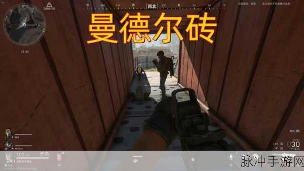 三角洲行动手游攻略，揭秘如何快速获得曼德尔砖