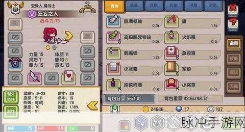 伊洛纳背包负重不够？快速提高背包重量技巧大揭秘