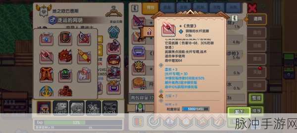 伊洛纳背包负重不够?快速提高背包重量技巧大揭秘