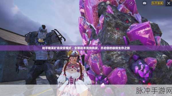 武极天下手游秘境详解,深入未知,挑战你的极限之旅
