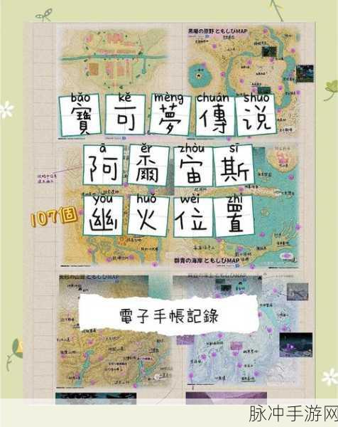 宝可梦探险寻宝深度攻略,第2关阴湿森林BOSS大针蜂挑战指南
