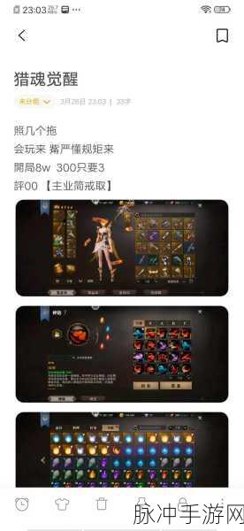 猎魂觉醒装备搭配全攻略