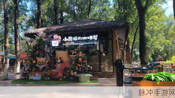 熊猫咖啡屋下载，打造梦幻咖啡馆，享受非常就好玩的经营乐趣