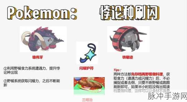 口袋妖怪复刻,解锁闪光宠物的全面攻略