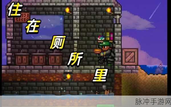 泰拉瑞亚渔夫任务揭秘,无尽的惊喜与挑战等你来探索
