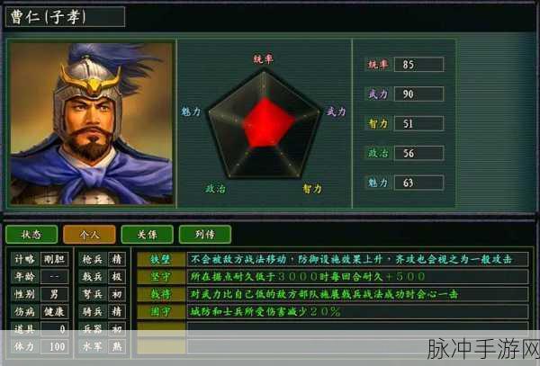 深度解析，三国志11手游中武将相性的奥秘与运用