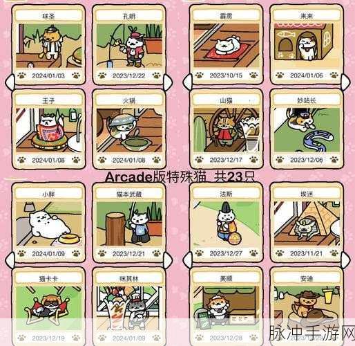 猫之城企鹅冰山涂鸦搭配全攻略