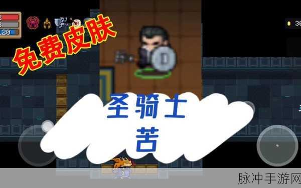 元气骑士圣骑士苦皮肤全方位获取攻略与深度解析