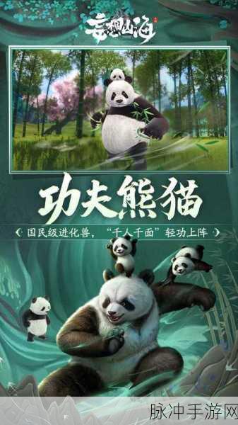 功夫熊猫手游深度攻略，揭秘白眉大侠的真实身份与战斗技巧