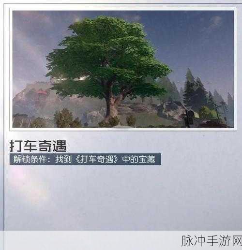 揭秘黎明觉醒盘山赛车藏宝图位置全攻略