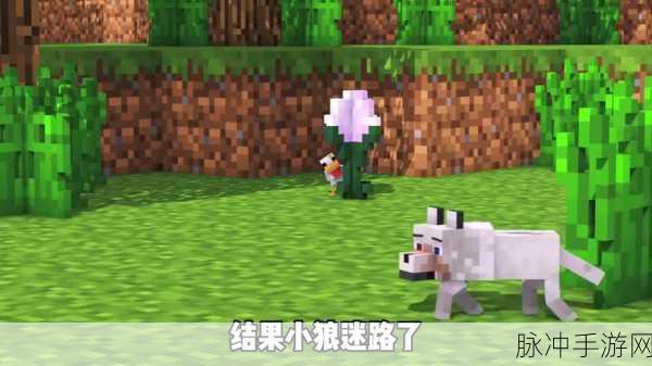 我的世界手游攻略，揭秘狼坐下后无法站立的真相