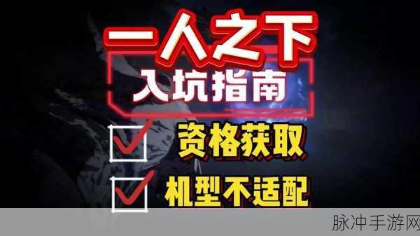 一人之下手游技能点不足应对策略与全面解决之道