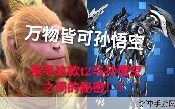 揭秘QQ飞车红豆,你不可不知的神秘道具全解析
