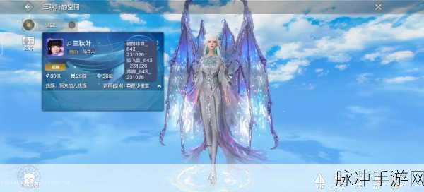 妄想山海先锋服深度探索，揭秘领先一步的奇妙旅程与独家赛事精彩细节
